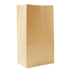 PAPER BAGS 5" X 3" X 10" BROWN - 500 CT.